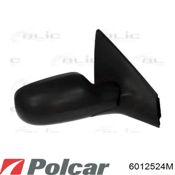 Купить 7701054688 Renault (RVI) Боковое зеркало заднего вида правое