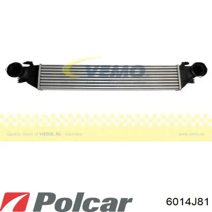 Интеркулер 144960022R Renault (RVI)