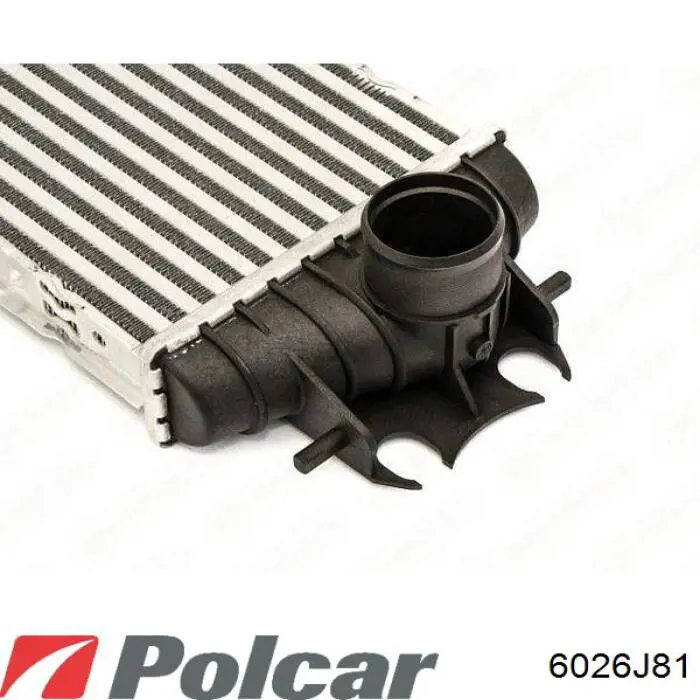 Радиатор интеркуллера Renault (RVI) 8689260