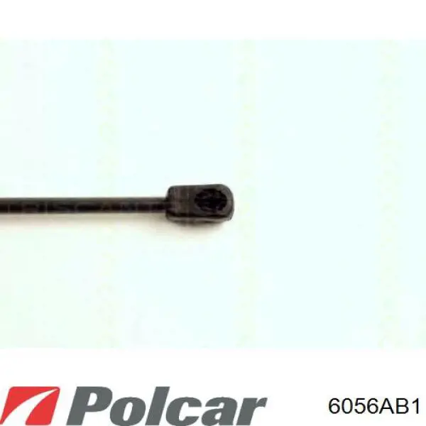 Амортизатор задней двери Polcar 6056AB1 цена, от 5.99 USD