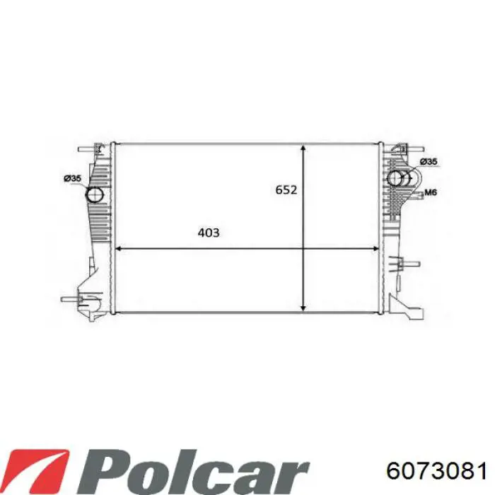 6073081 Polcar radiador de esfriamento de motor