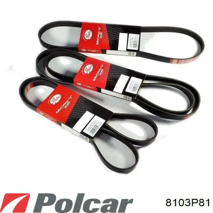 8103P81 Polcar Радиатор отопителя салона