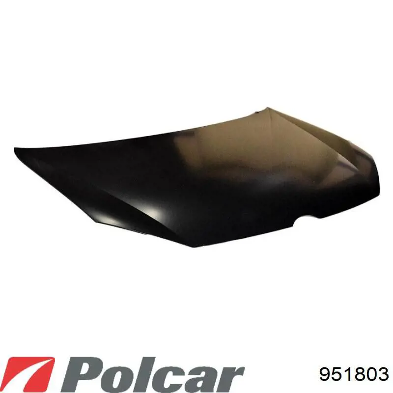 951803 Polcar