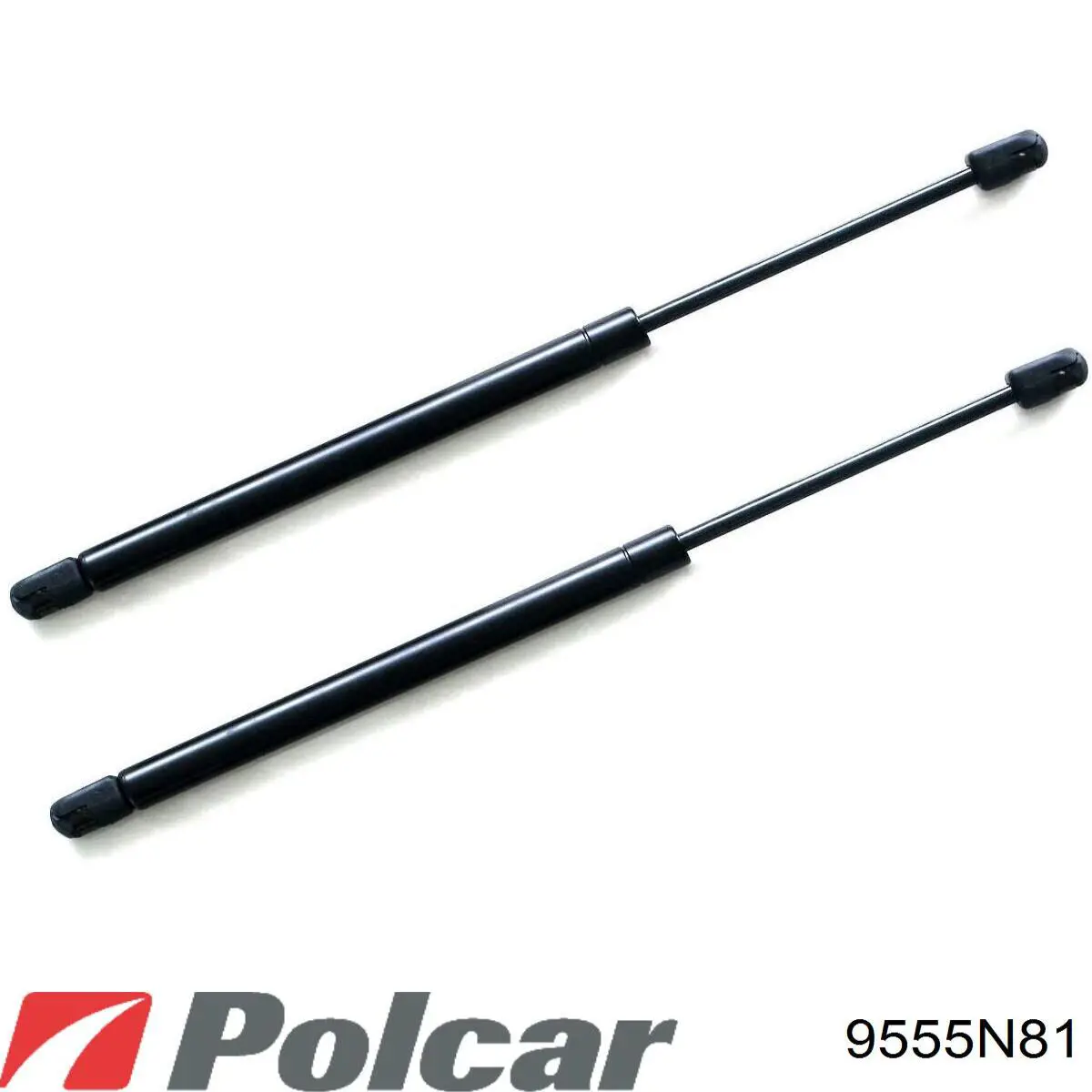 9555N81 Polcar