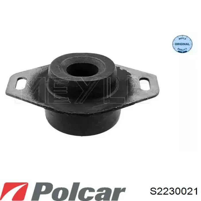 S2230021 Polcar