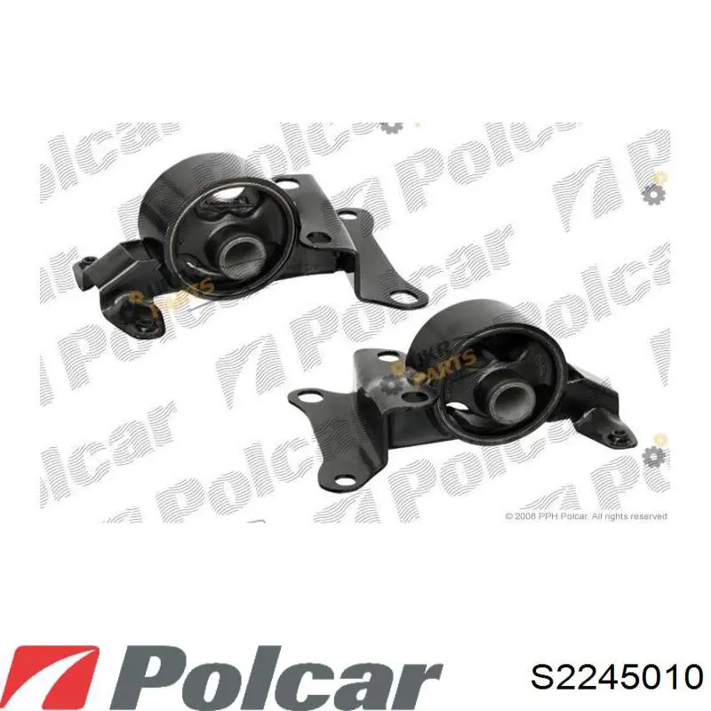  S2245010 Polcar