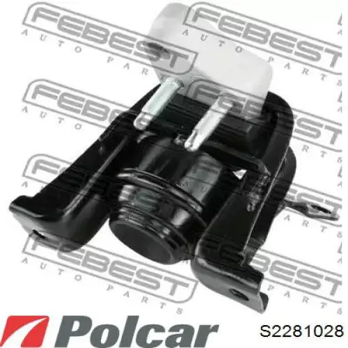 S2281028 Polcar 