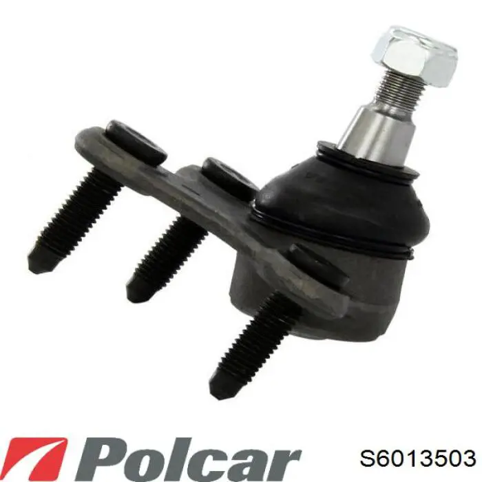 S6013503 Polcar