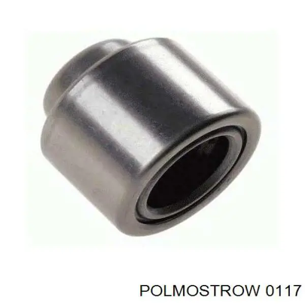 0117 Polmostrow