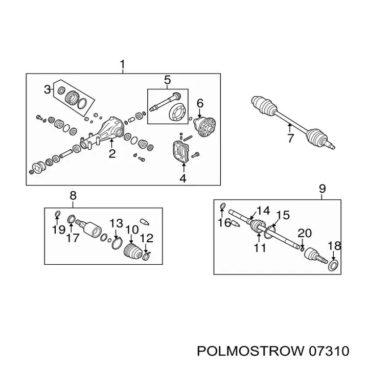  07310 Polmostrow