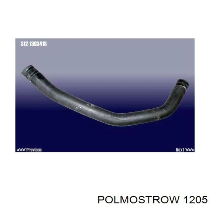 1205 Polmostrow