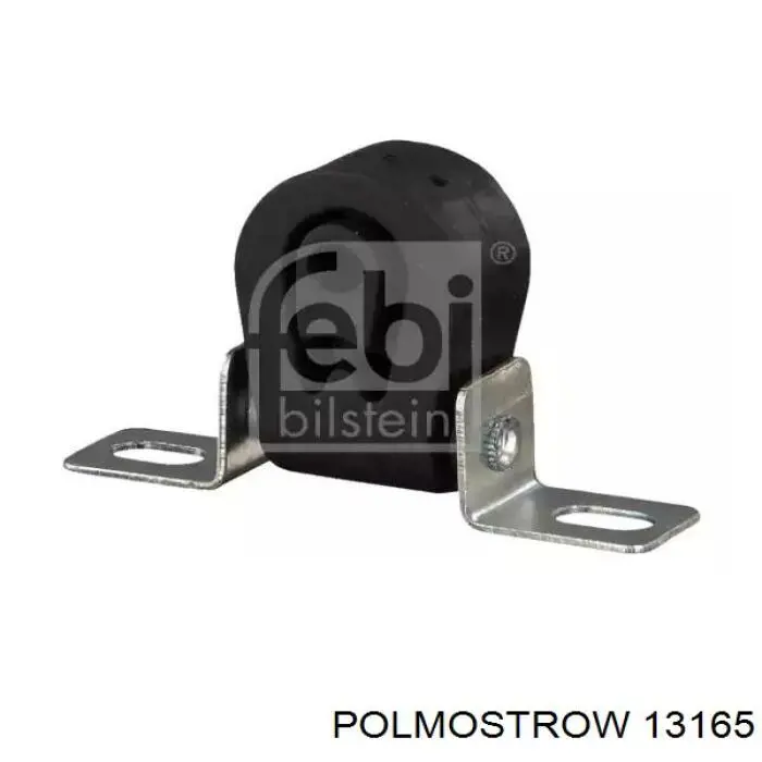 13165 Polmostrow 