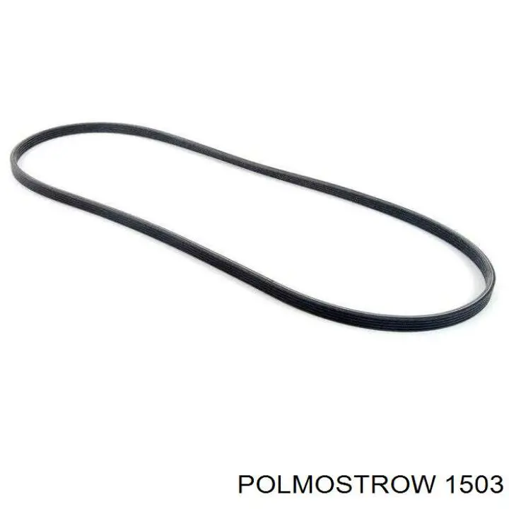 1503 Polmostrow 