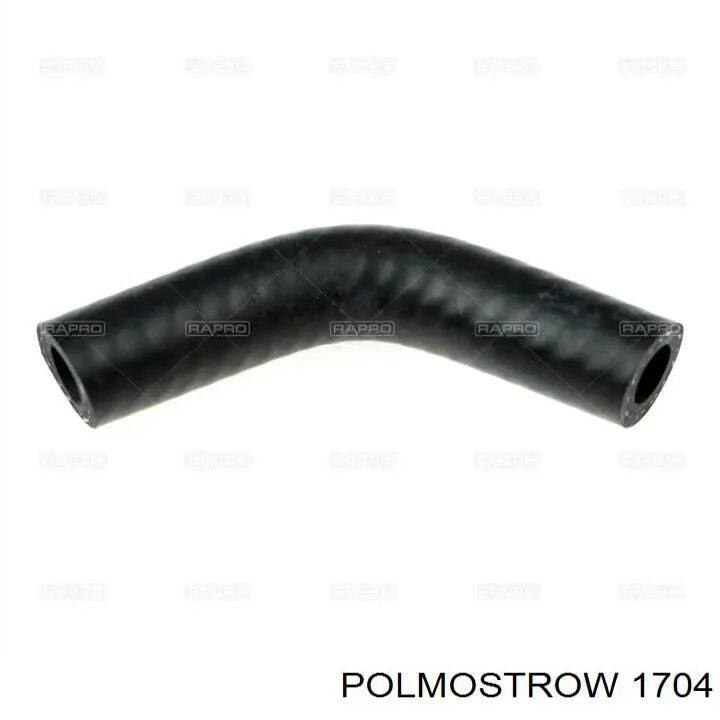 1704 Polmostrow 