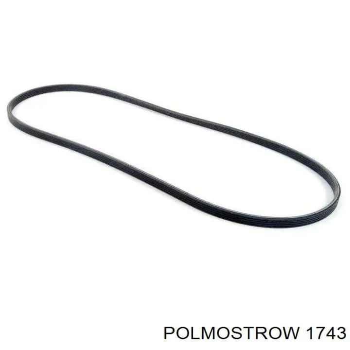 1743 Polmostrow silenciador, parte central