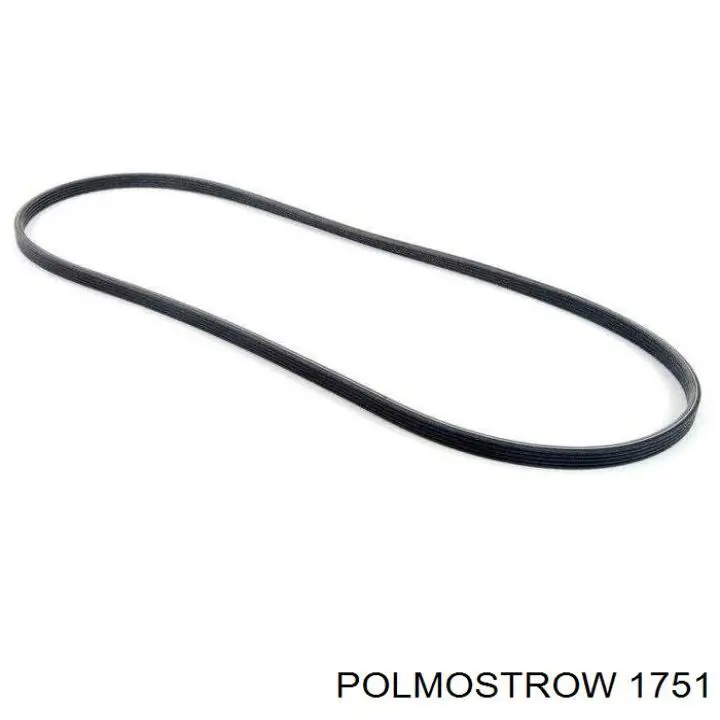 Купить 1751 Polmostrow Глушитель задний