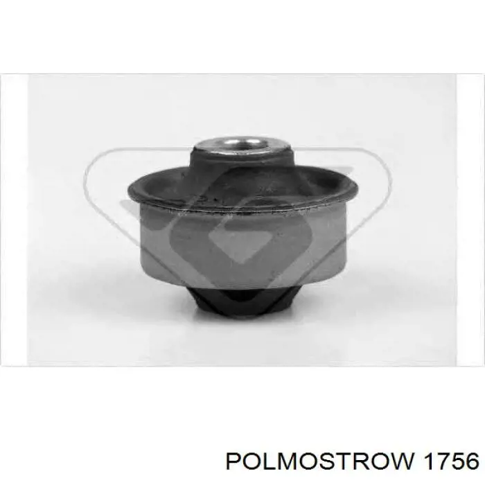 1756 Polmostrow глушитель, задняя часть