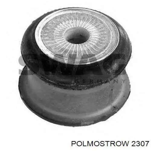 2307 Polmostrow глушитель, центральная часть