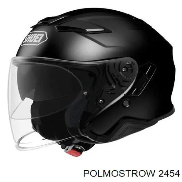  2454 Polmostrow