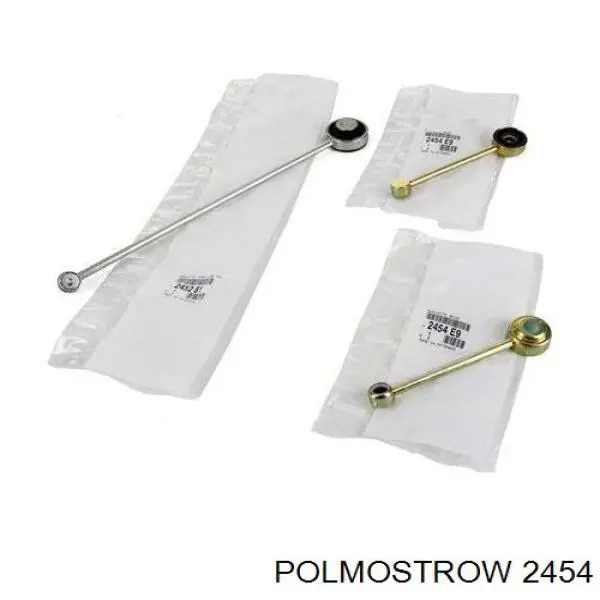  2454 Polmostrow