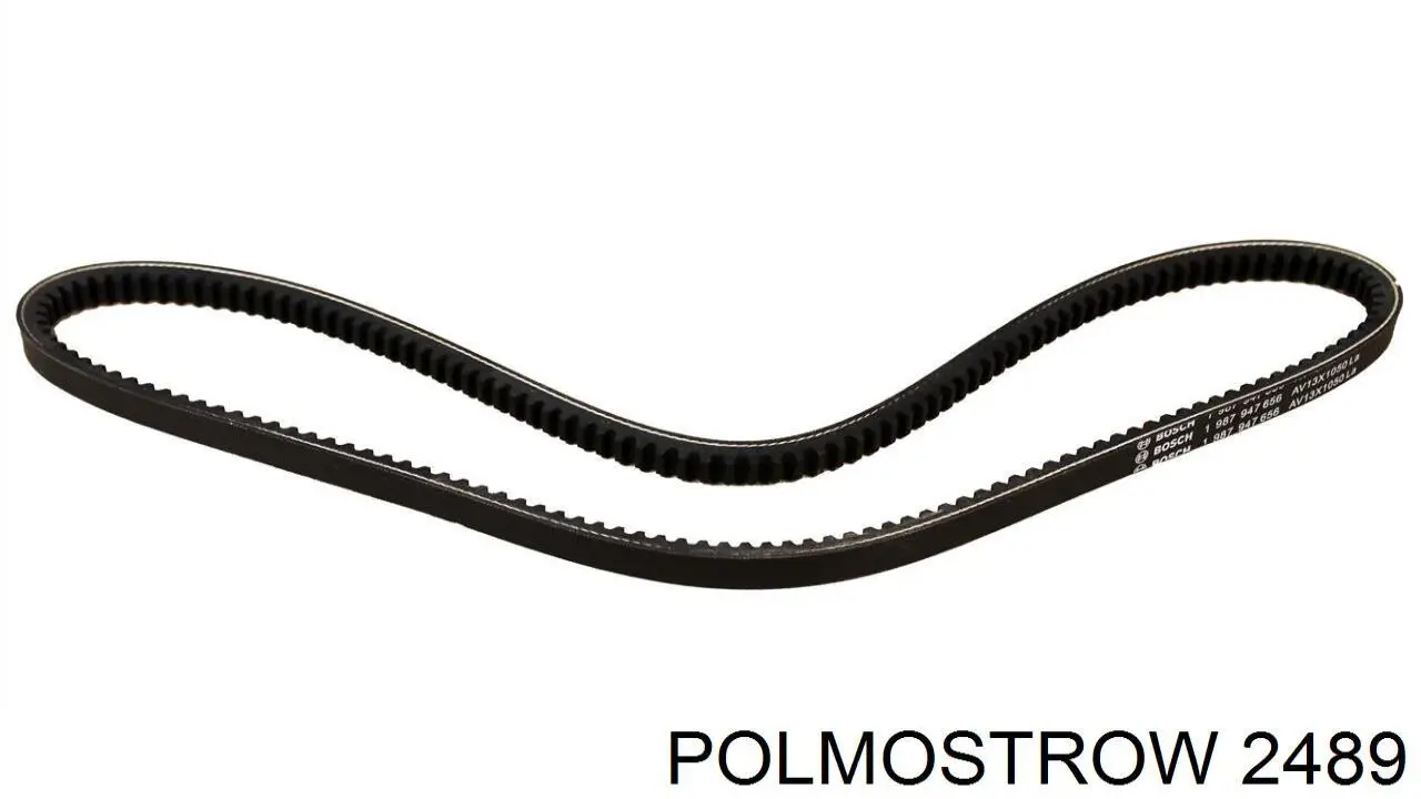 Купить 2489 Polmostrow Глушитель задний