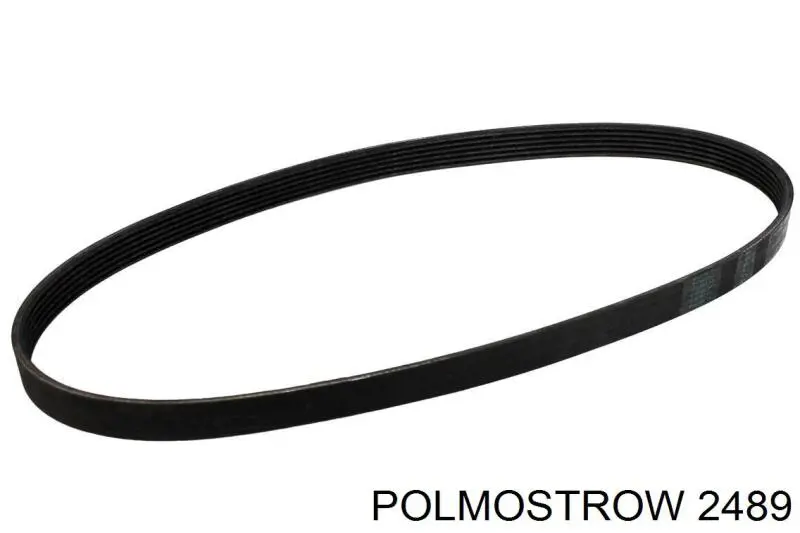 2489 Polmostrow Выхлопная труба