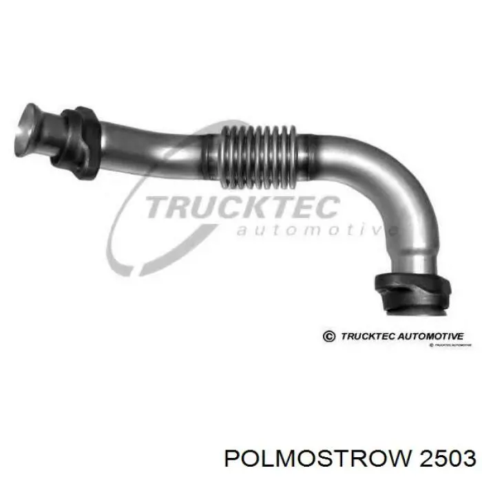 Купить 2503 Polmostrow Выхлоп центральный