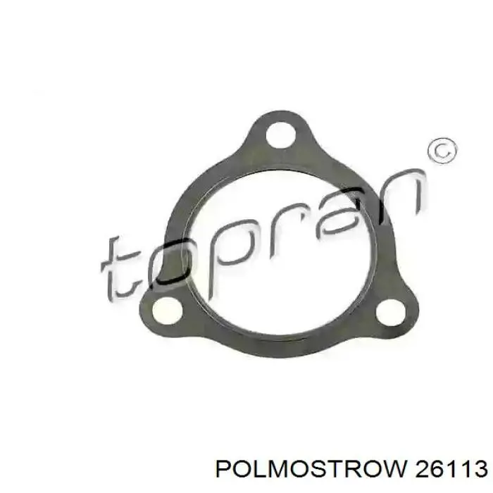 Выхлоп задний Polmostrow 26113 цена, от 62.22 USD