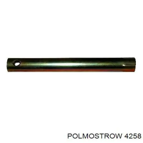  4258 Polmostrow