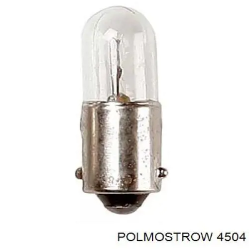  4504 Polmostrow