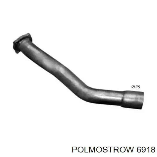  6918 Polmostrow