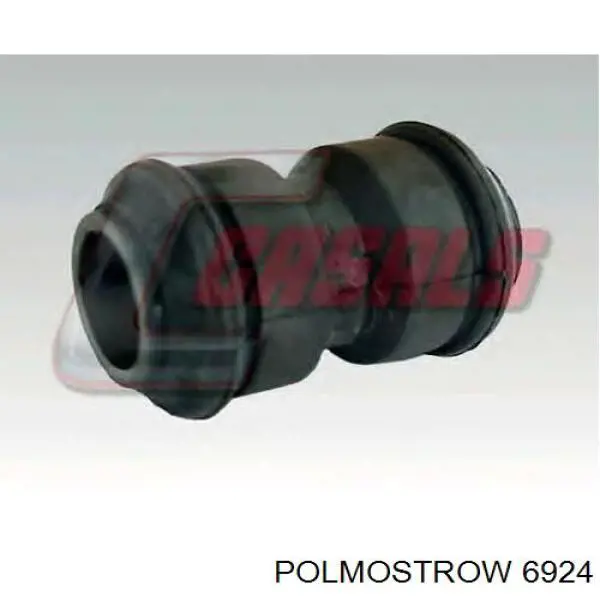  6924 Polmostrow