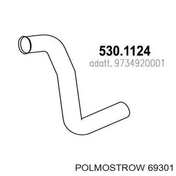  69301 Polmostrow