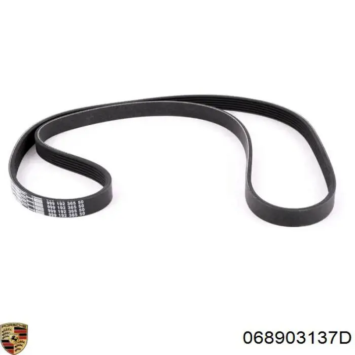 068903137D Porsche Поликлиновый ремень