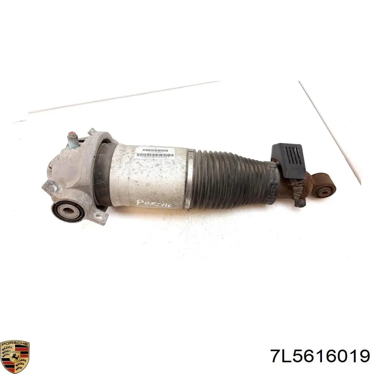  Porsche 7L5616019 цена, от 122.89 USD