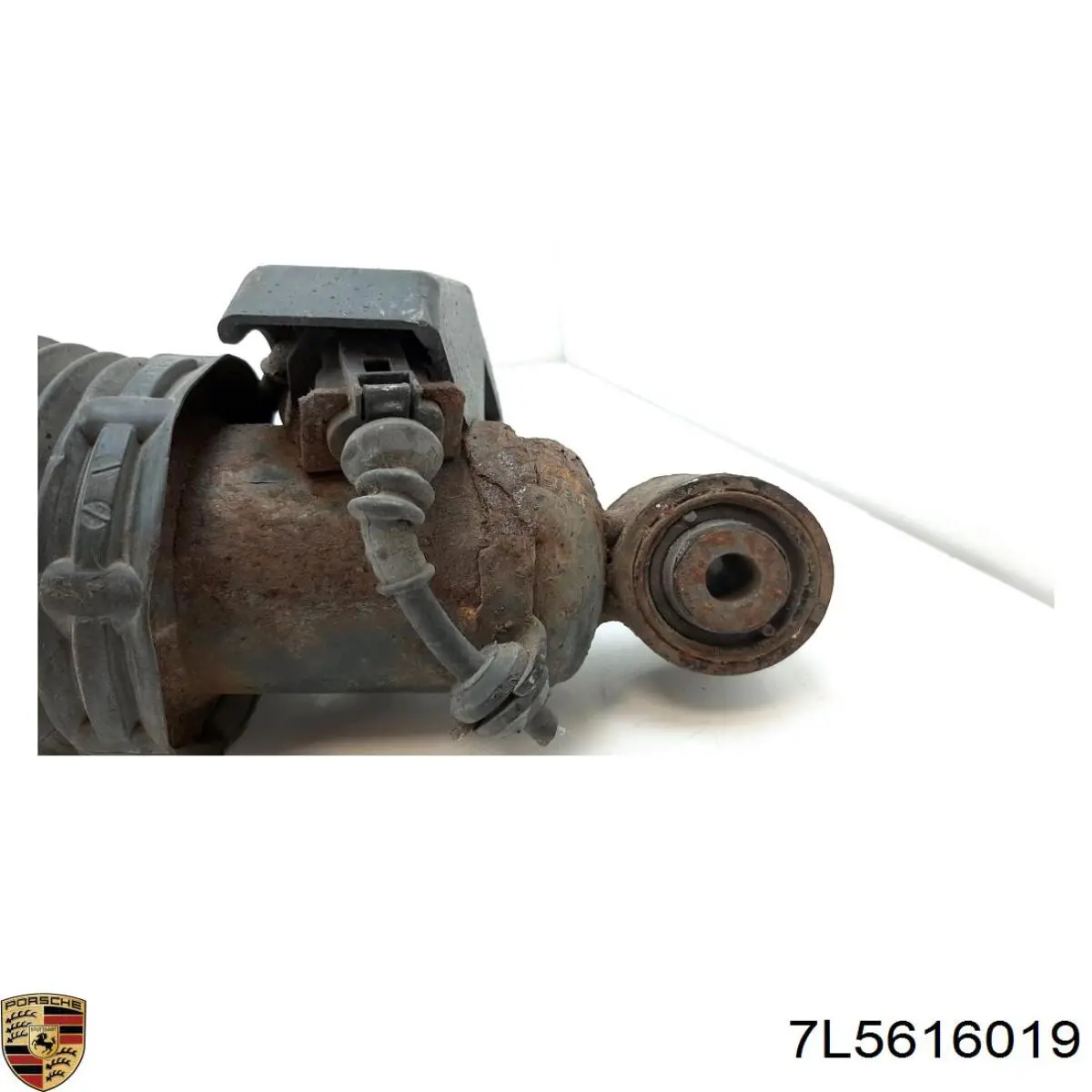 7L5616019 Porsche 
