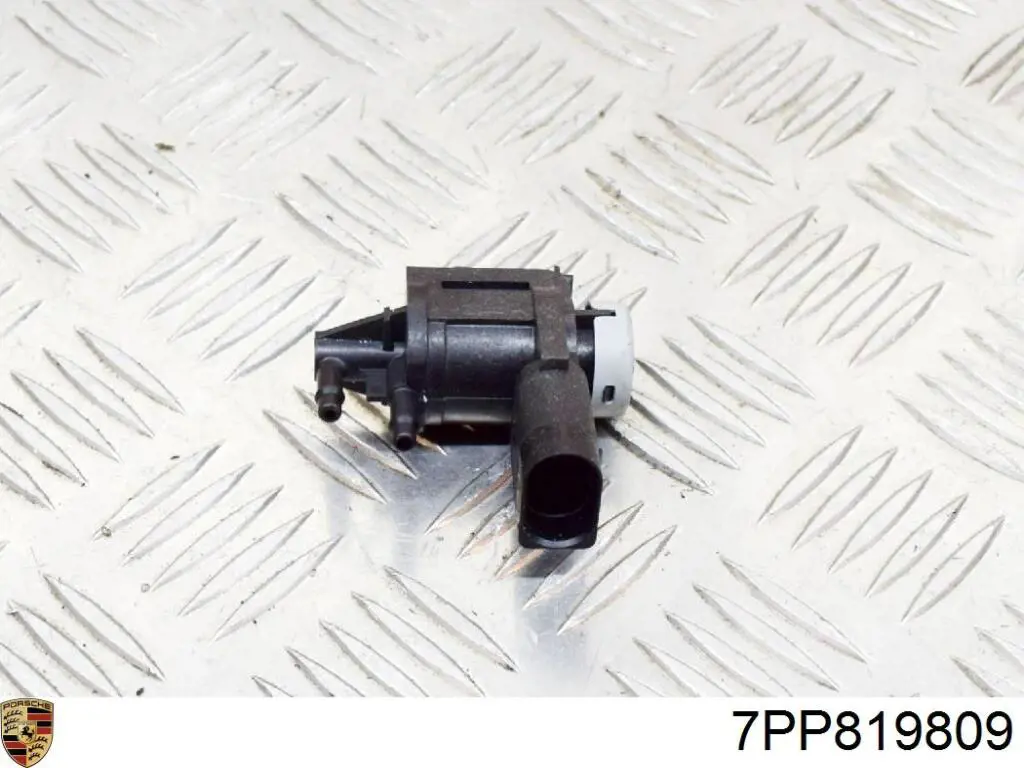  7PP819809 Porsche