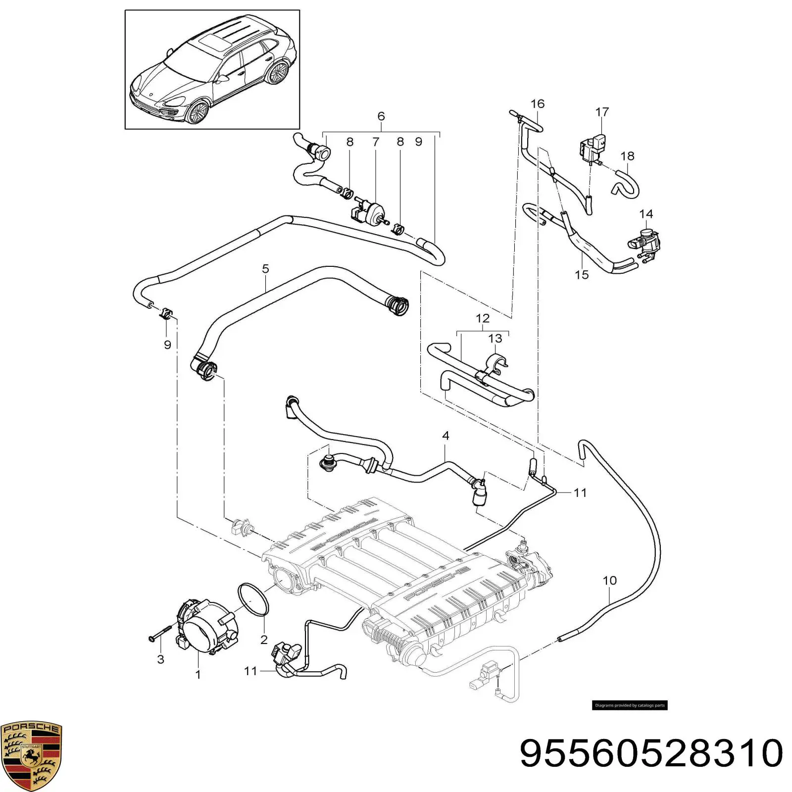  Porsche 95560528310 цена, от 3.64 USD
