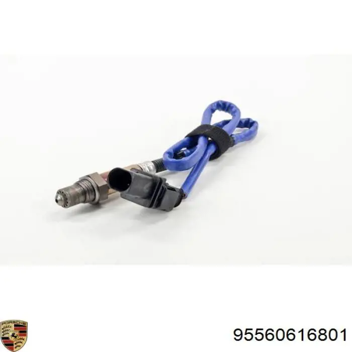 Лямбдазонд, датчик кислорода до катализатора Porsche 95560616801 цена, от 50.68 USD