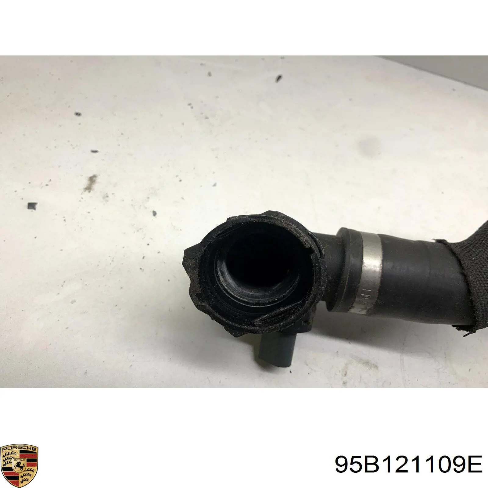 Нижний шлаг радиатора охлаждения 95B121109E Porsche
