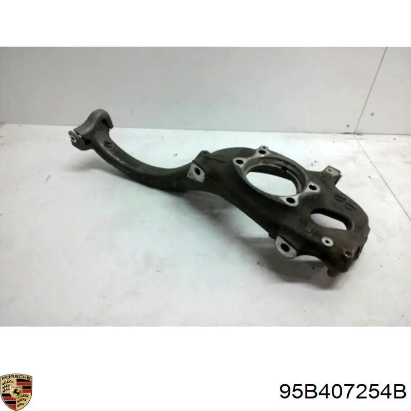 Цапфа передняя правая 95B407254B VAG