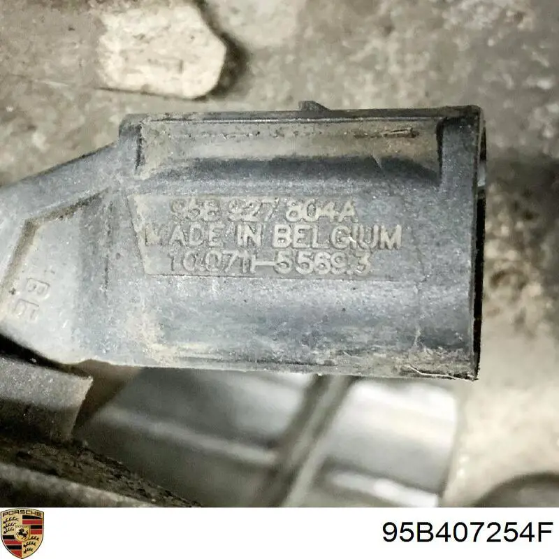Цапфа (поворотный кулак) передний правый Porsche 95B407254F цена, от 469.40 USD