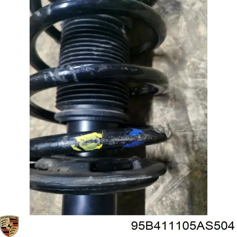 95B411105AS504 Porsche Пружина передней подвески
