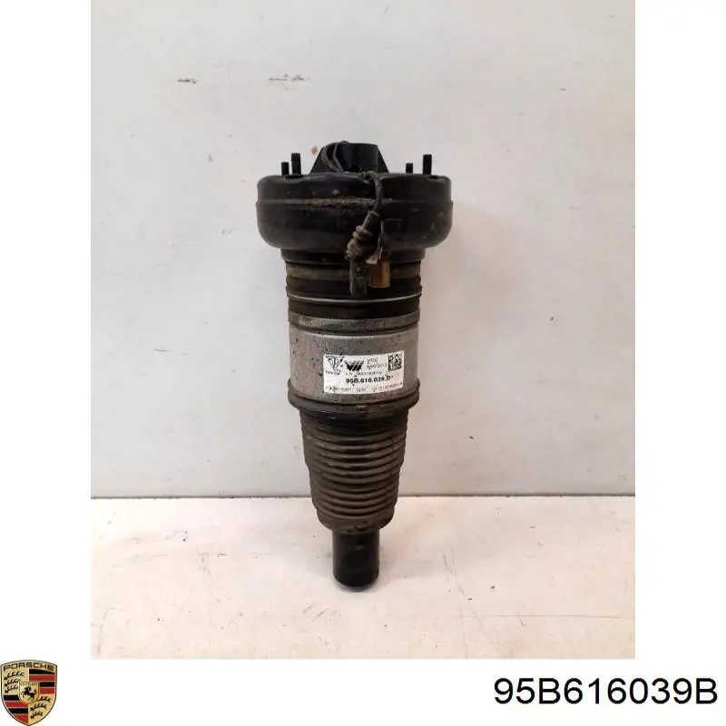 95B616039B Porsche Пневмоподушка (пневморессора) моста переднего