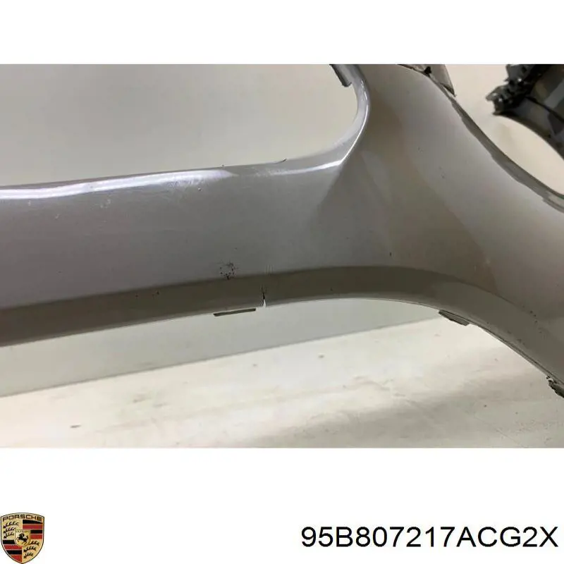 Купить 95B807217ACG2X Porsche 