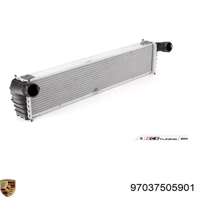 Купить 97037505901 Porsche Сайлентблок (подушка) редуктора заднего моста передний