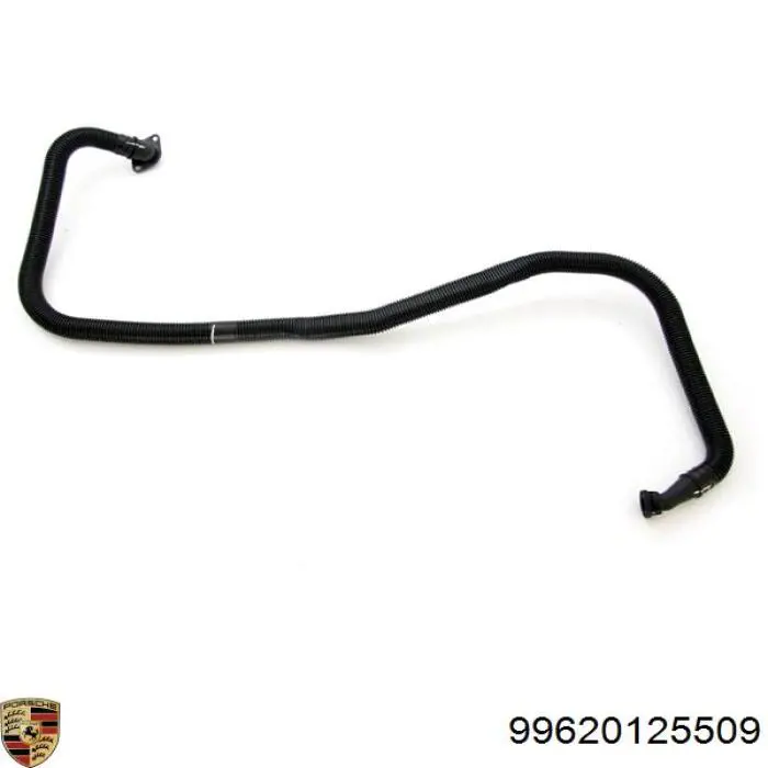  99620125509 Porsche
