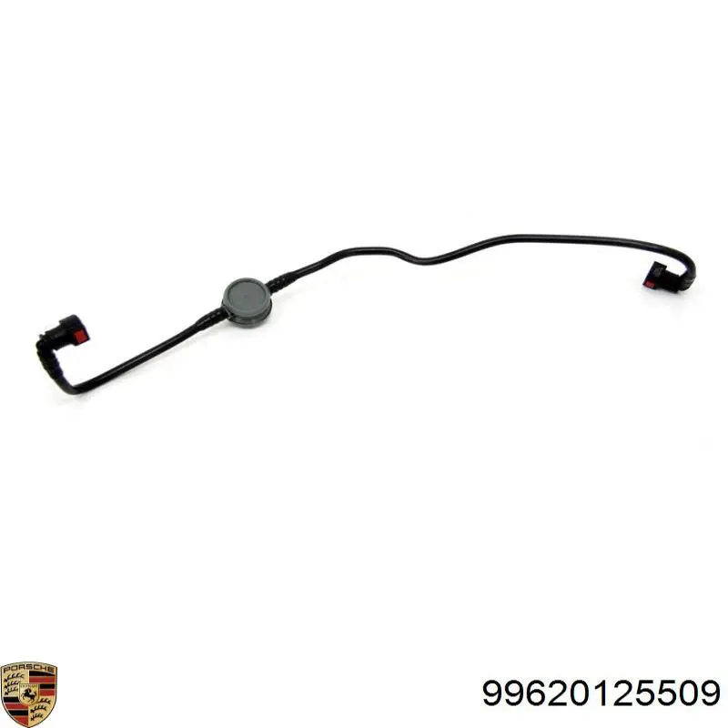 99620125509 Porsche 