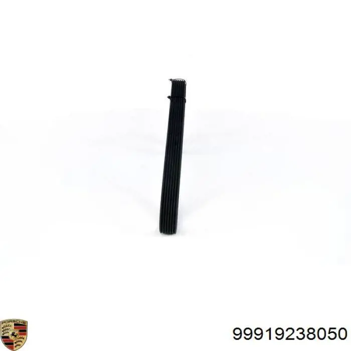 99919238050 Porsche Поликлиновый ремень