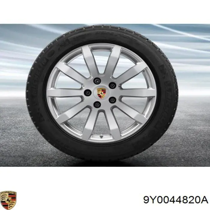 9Y0044820A Porsche 